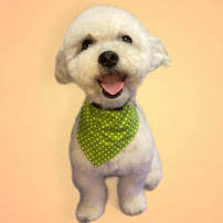 The Flying Fur Grooming - Photo 7 - Car repair in Merced, CA, Merced