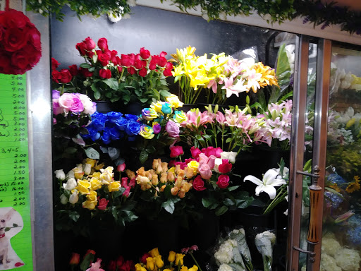 Florist «Dennis Rigas Floral Creations», reviews and photos, 115-16 Liberty Ave, South Richmond Hill, NY 11419, USA