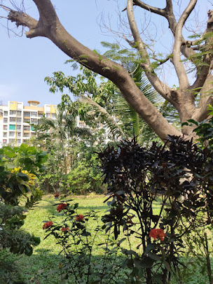 Google Maps image 13