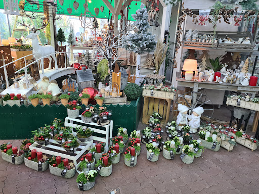 Johannsen Gartenfachmarkt unter Zingst, 