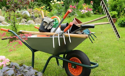 Jardinage Entrepreneur Pascal Jarrosson à Toulouse