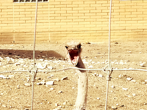 Zoo «Blank Park Zoo», reviews and photos, 7401 SW 9th St, Des Moines, IA 50315, USA