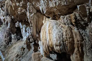 Grutas Del Mamut image