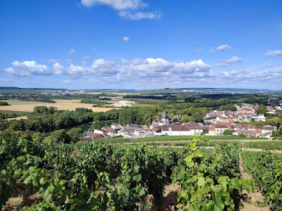 Parc naturel régional de la Montagne de Reims à Pourcy