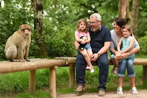 Trentham Monkey Forest image