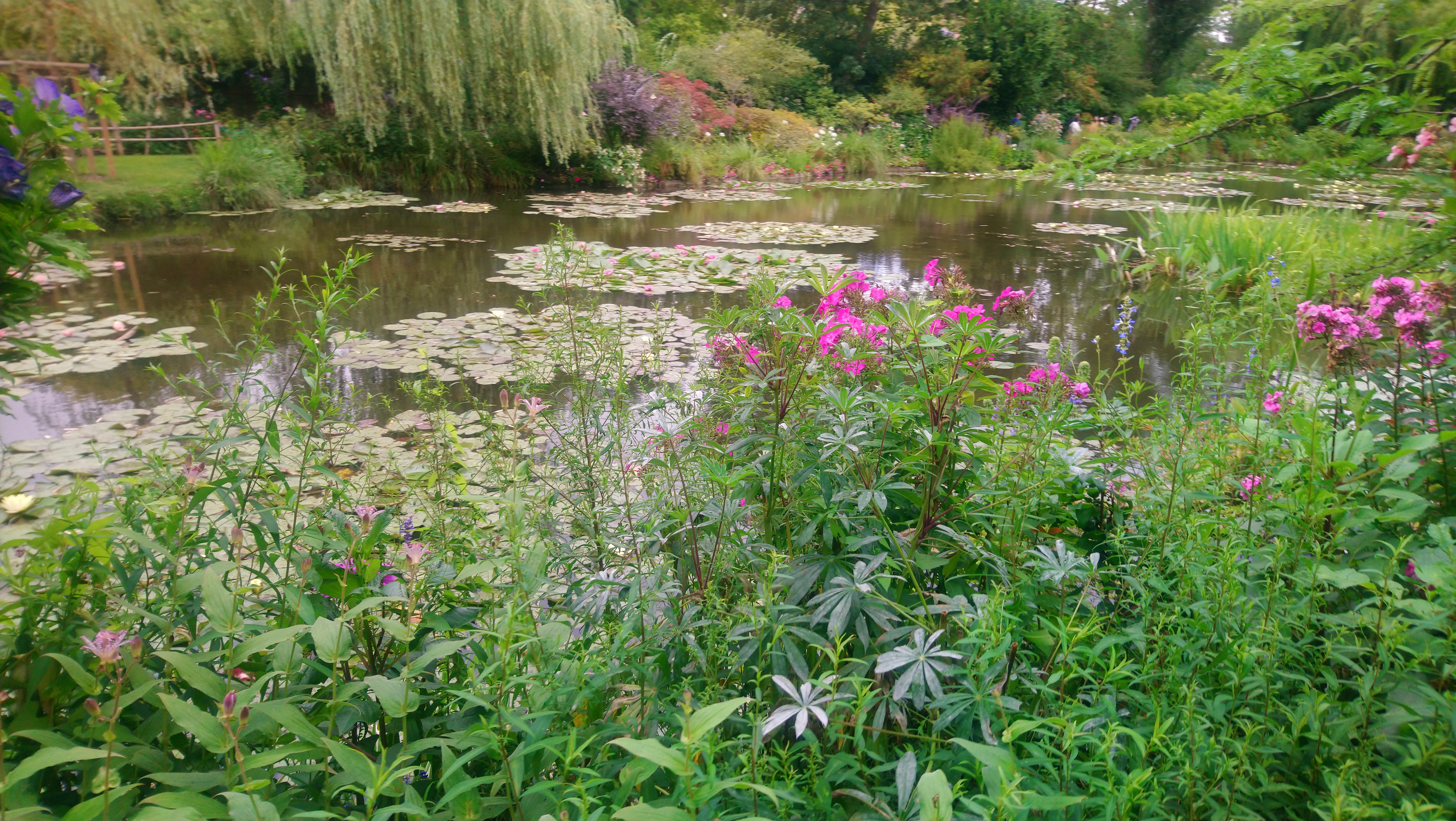 Photo n° 18 de l'avis de Angèle.K fait le 03/08/2020 à 11:24