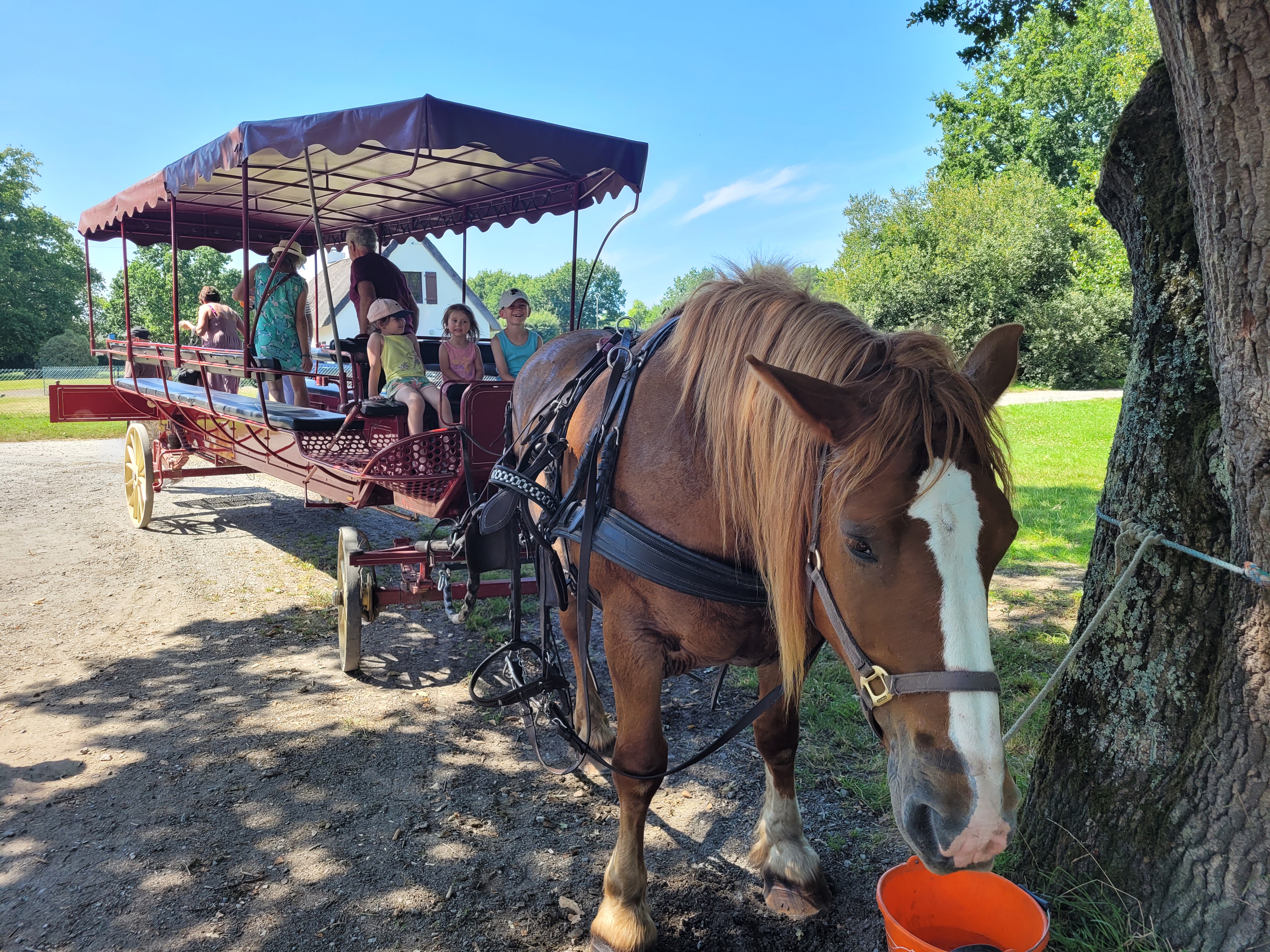 Photo n° 1 de l'avis de Florian.a fait le 21/07/2021 à 14:24