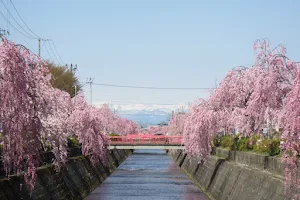 Kuratsugawa Ryokuchi Park image