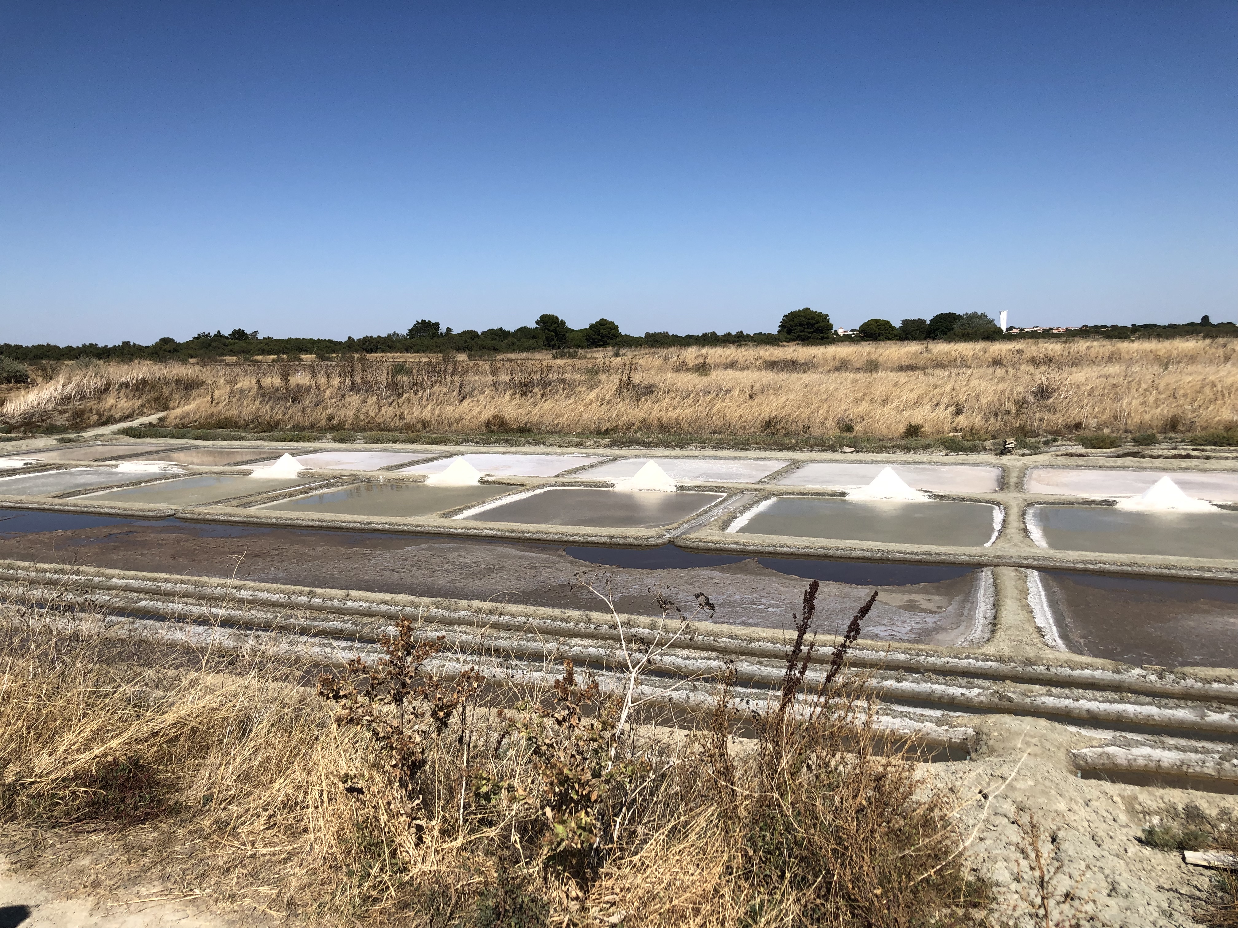 Photo n° 1 de l'avis de Bertrand.r fait le 10/08/2022 à 20:51