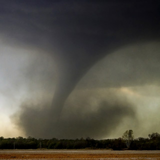 Insurance Agency «Dottrio, LLC - Public Adjusters - Insurance Appraisers», reviews and photos