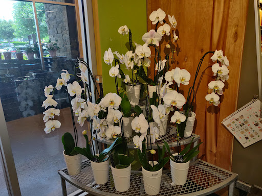 Grocery Store «Whole Foods Market», reviews and photos, 102 New Waverly Pl, Cary, NC 27518, USA