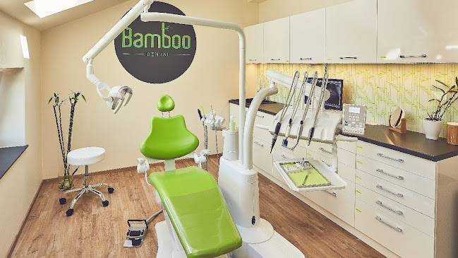 Bamboo Dental