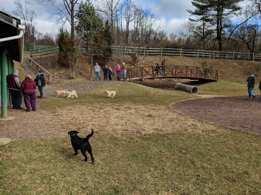 Dog Trainer «Awesome Dawgs Dog Training LLC», reviews and photos, 3052 Pricetown Rd, Temple, PA 19560, USA