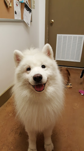 Pet Store «For Healthy Pets!», reviews and photos, 5165 Atlanta Hwy, Montgomery, AL 36109, USA