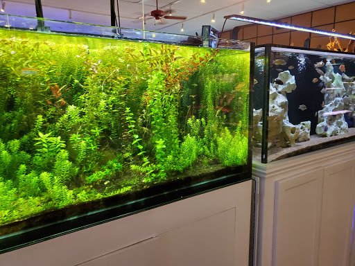 Aquarium Shop «Aquatics Unlimited / Aquatic Realmz», reviews and photos, 3550 S 108th St, Greenfield, WI 53228, USA