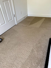 Oxi Fresh Carpet Cleaning