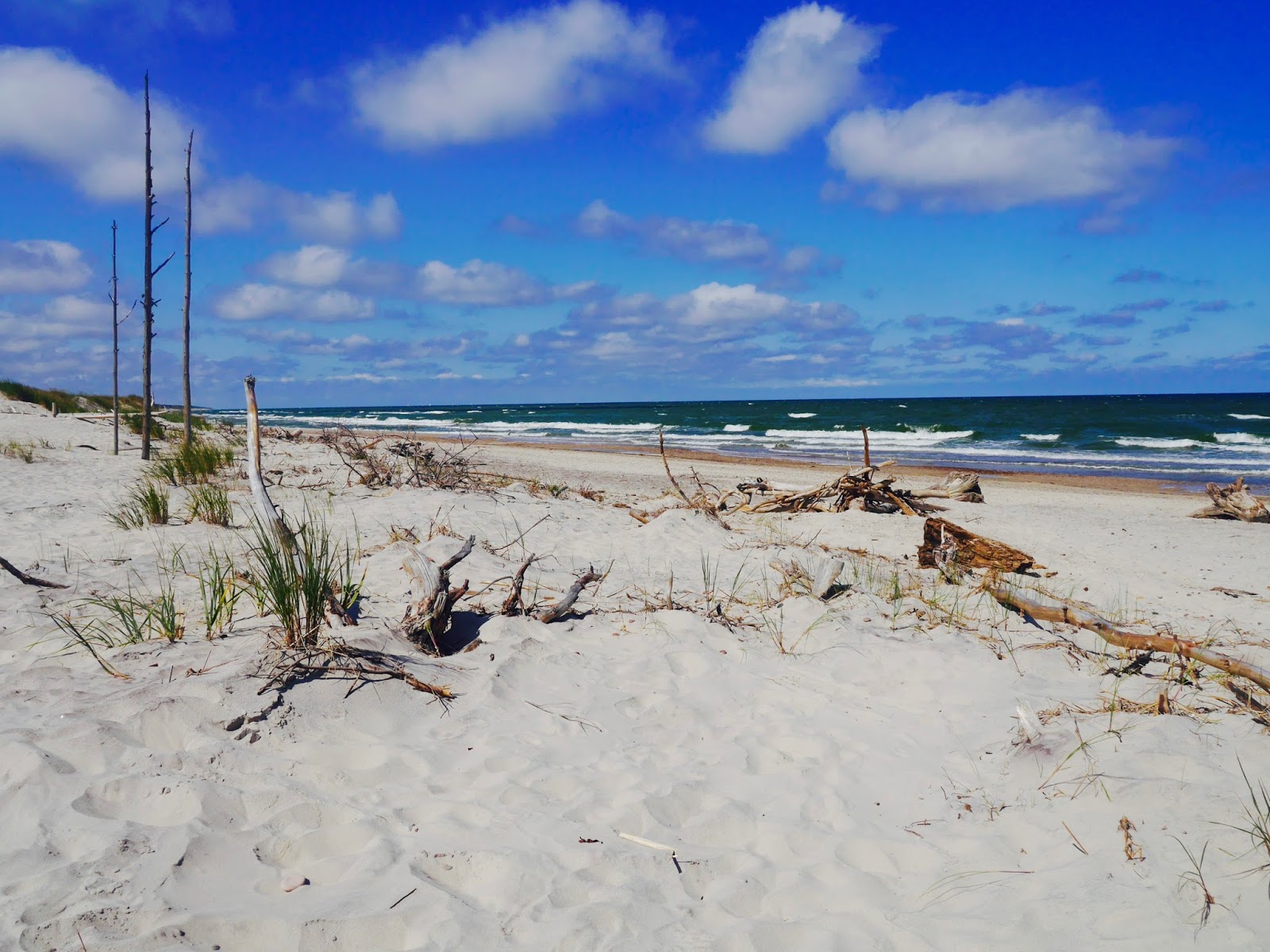 Foto van Cholpin Beach II met recht en lang