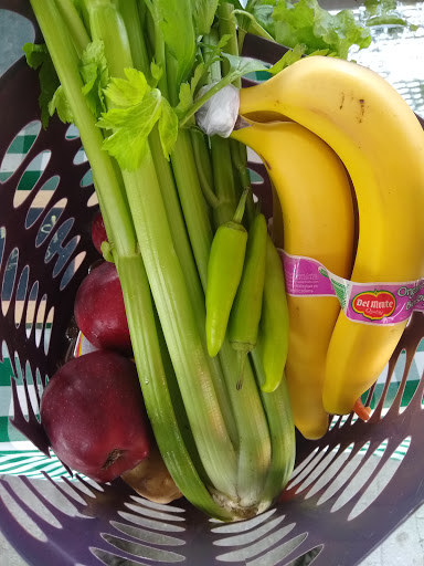 Farm «Sweetwater Organic Community Farm», reviews and photos, 6942 W Comanche Ave, Tampa, FL 33634, USA