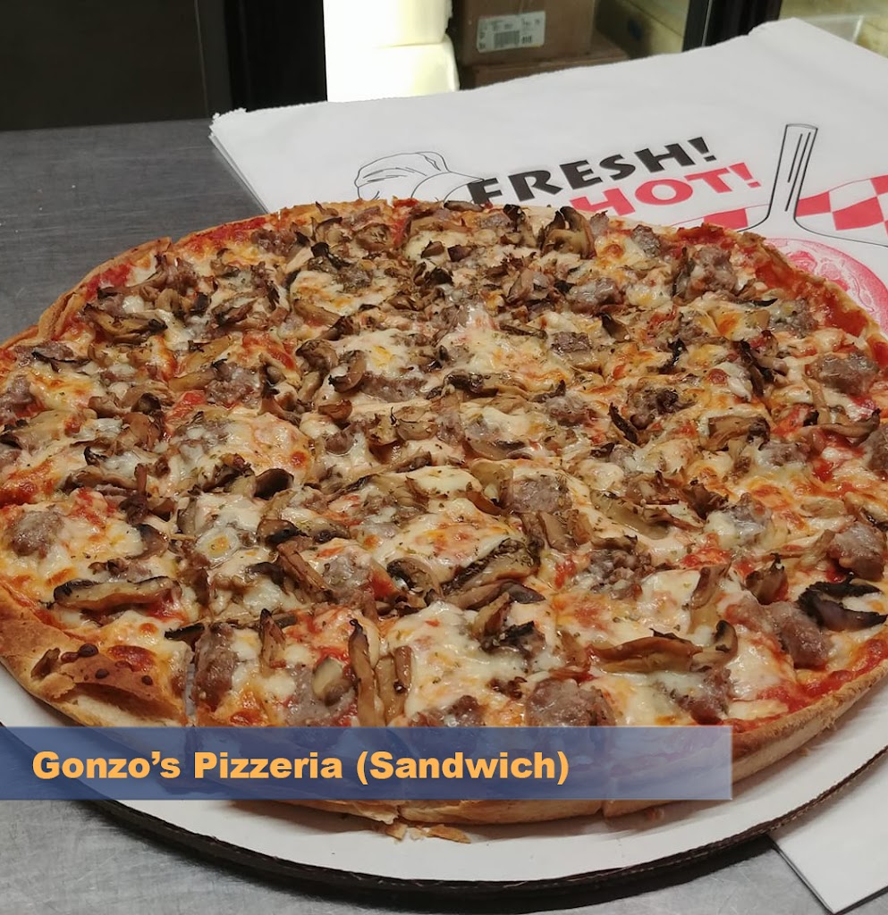 Gonzo's Rock & Roll Pizzeria 60548