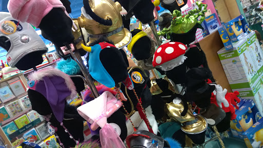 Toy Store «Terra Toys», reviews and photos, 2438 W Anderson Ln, Austin, TX 78757, USA