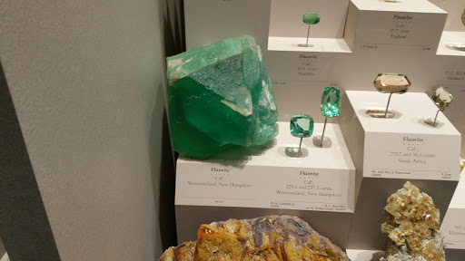 Museum «DEA Museum & Visitors Center», reviews and photos, 700 Army Navy Dr, Arlington, VA 22202, USA