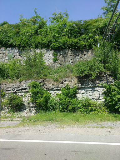 Nature Preserve «Lockport Prairie Nature Preserve», reviews and photos, Broadway St, Lockport, IL 60441, USA