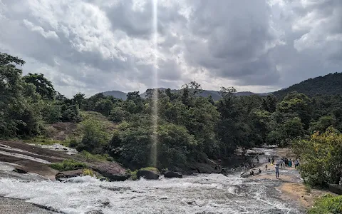 Vadattupara Waterfalls image