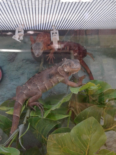 Pet Supply Store «Petco Animal Supplies», reviews and photos, 5843 N Elizabeth St, Pueblo, CO 81008, USA