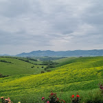 Photo n°3 de l'avis de Manutarvis. fait le 21/05/2023 à 14:34 sur le  Birrificio agricolo Poggio Rosso à Peccioli