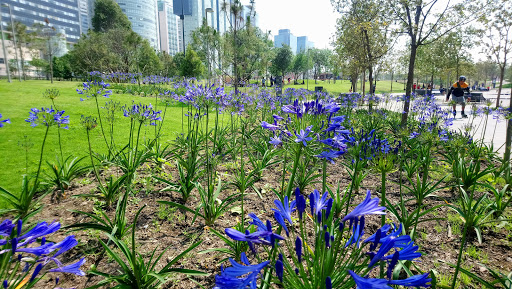 La Mexicana Park