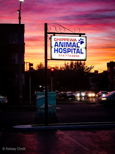 Chippewa Animal Hospital