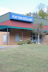 Play Dog Excellent - Photo 9 - Car repair in Chattanooga, TN, Chattanooga
