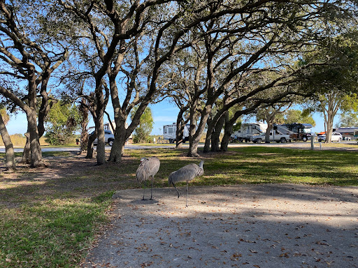 Campground «Savannas Recreation Area», reviews and photos, 1400 E Midway Rd, Fort Pierce, FL 34982, USA