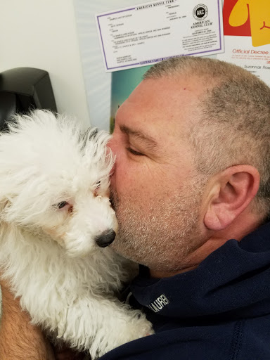 Pet Store «Puppy City», reviews and photos, 3343 Valley Pike, Winchester, VA 22602, USA