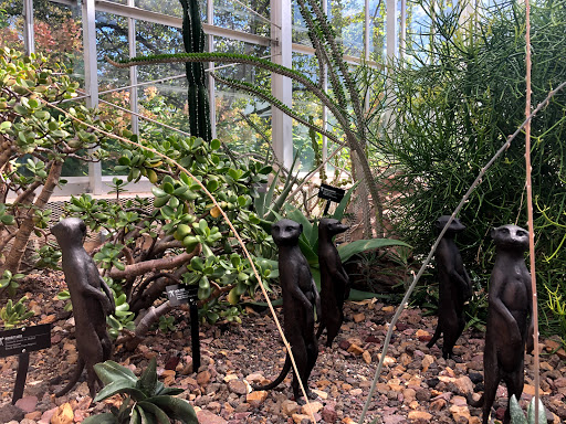 Gift Shop «Meijer Gardens Gift Shop», reviews and photos, 1000 E Beltline Ave NE, Grand Rapids, MI 49525, USA