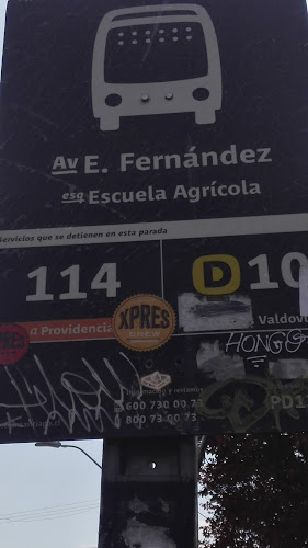 PD1305-Av. Escuela Agrícola / Esq. Exequiel Fernández - Macul