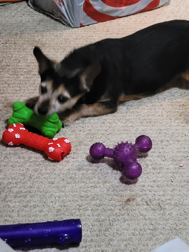 Supermarket «McKay`s Charlotte Hall», reviews and photos, 37670 Mohawk Dr, Charlotte Hall, MD 20622, USA