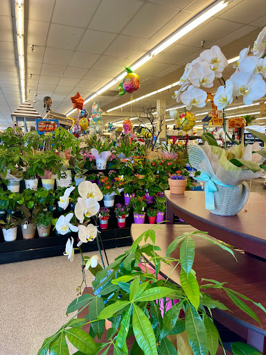 Grocery Store «Albertsons», reviews and photos, 110 E Carson St, Carson, CA 90745, USA