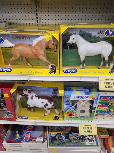 Home Improvement Store «Tractor Supply Co.», reviews and photos, 13500 Benns Church Blvd, Smithfield, VA 23430, USA