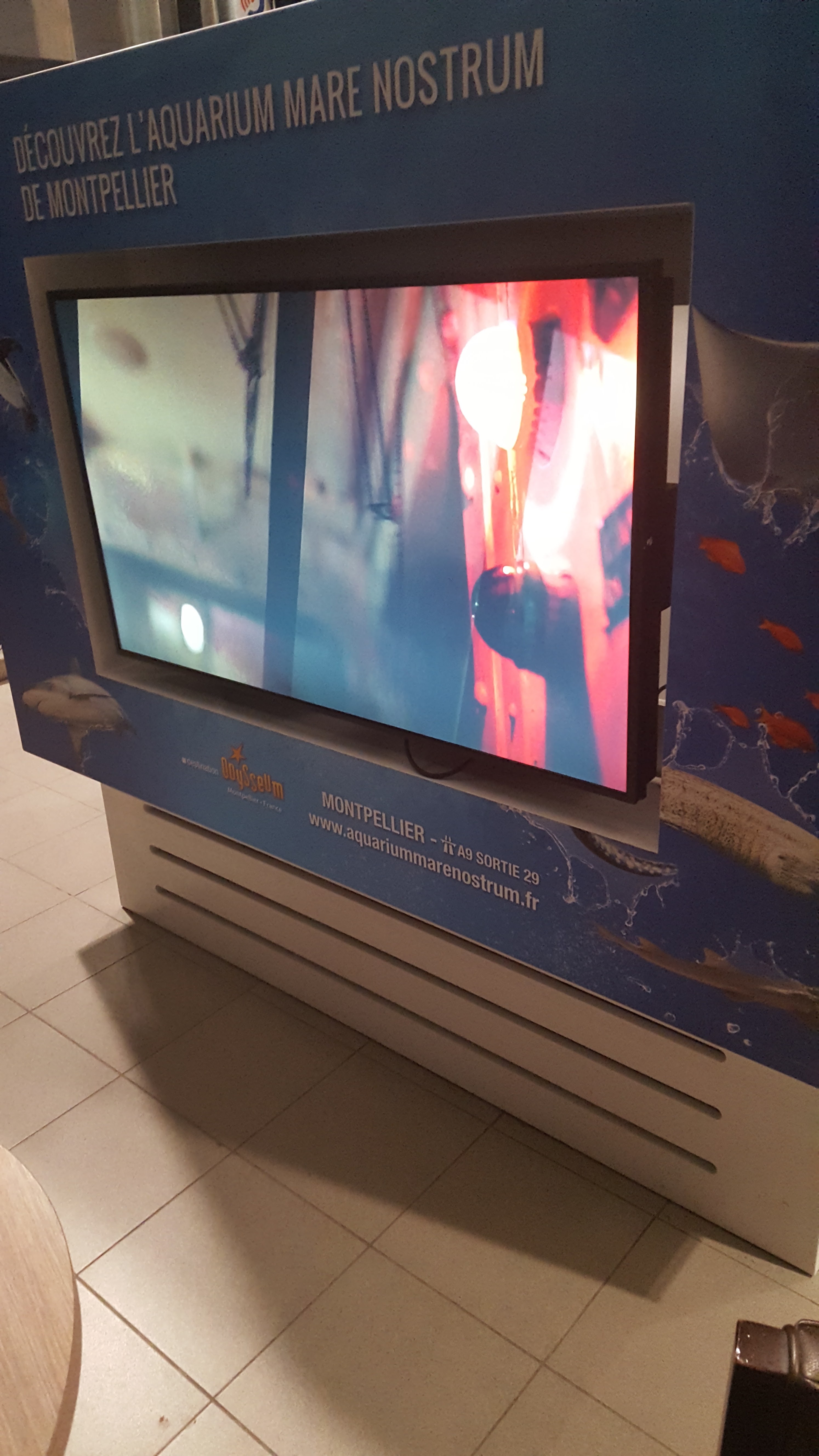 Photo n° 2 de l'avis de Mel.n fait le 21/12/2017 à 19:46