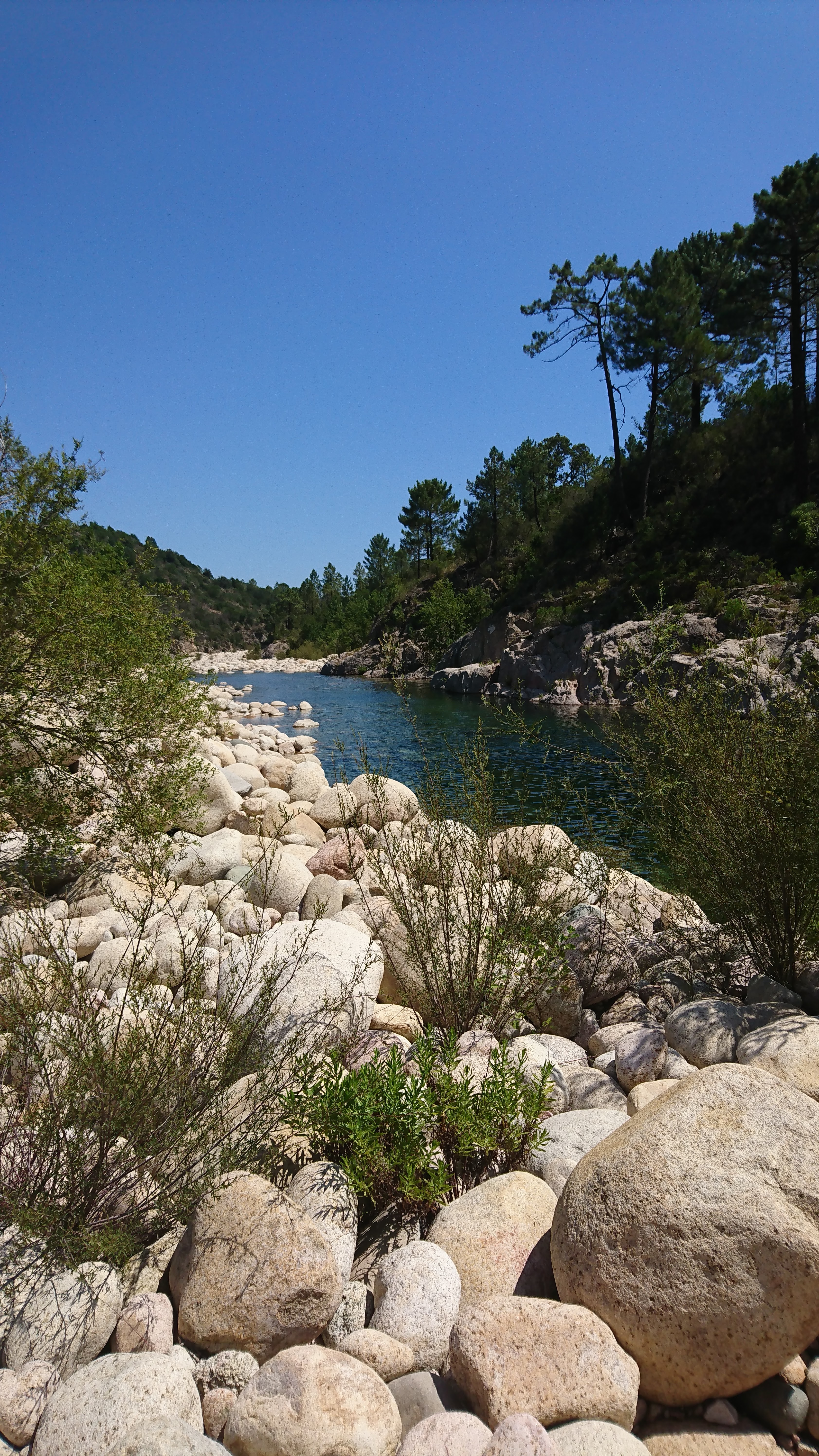 Photo n° 4 de l'avis de jp.e fait le 19/07/2018 à 07:40