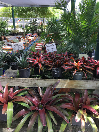 Produce Market «Nelson Family Farms», reviews and photos, 875 W Midway Rd, Fort Pierce, FL 34982, USA