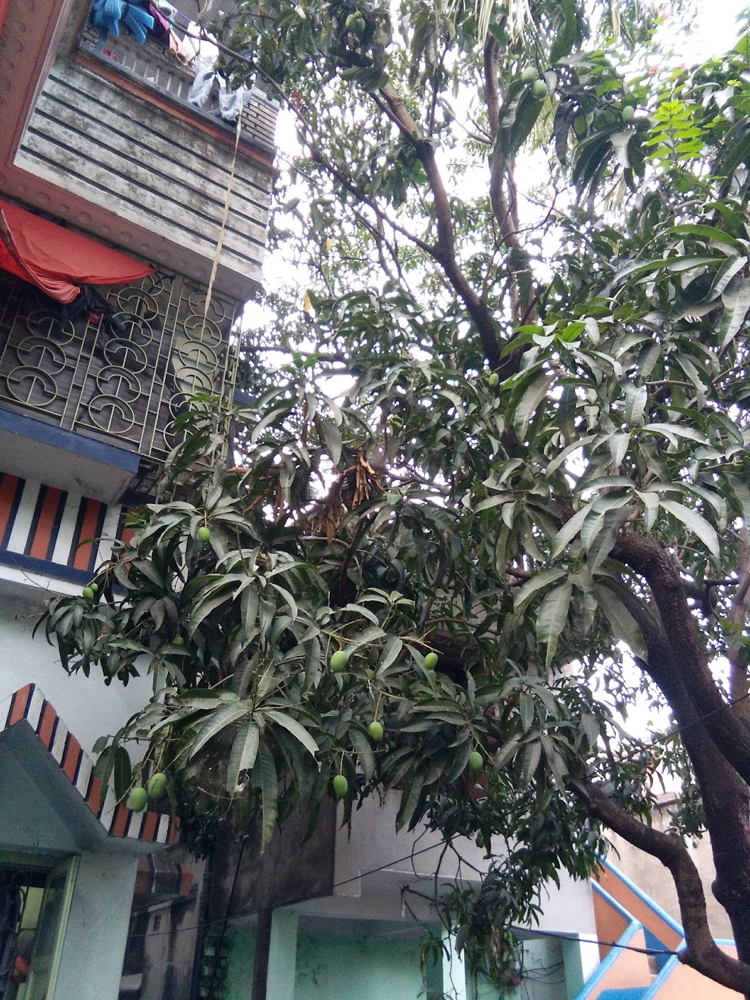 Hari Seva Mandir