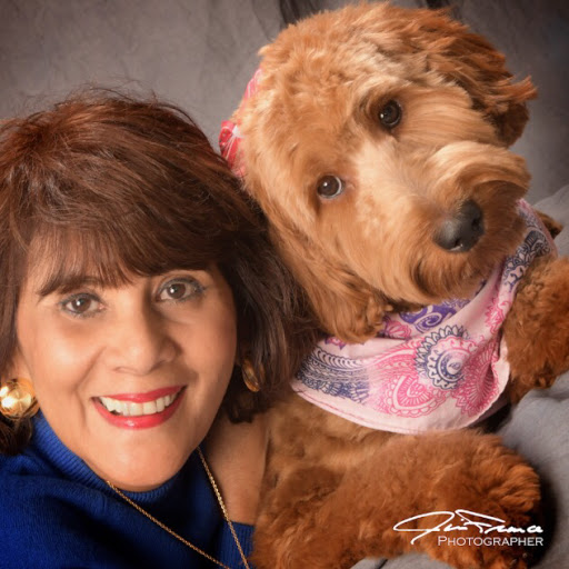 Pet Supply Store «PetSmart», reviews and photos, 2255 Pine Ridge Rd, Naples, FL 34109, USA