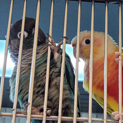 Pet Supply Store «Pet Food Center», reviews and photos, 4036 N First Ave, Evansville, IN 47710, USA