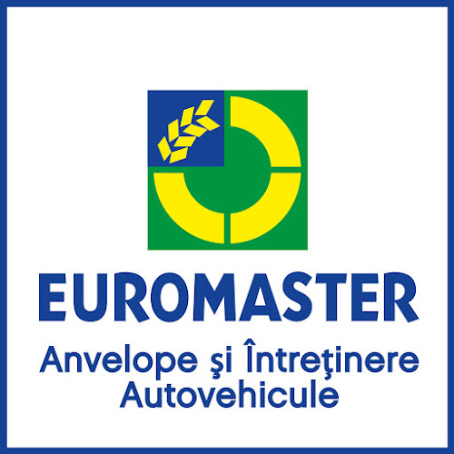 Euromaster B&T Arad - <nil>