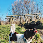 Photo n°2 de l'avis de Derek.m fait le 18/04/2022 à 14:43 sur le  Ferienhof Wolschendorf - Peter Wolschendorf à Linda bei Neustadt an der Orla