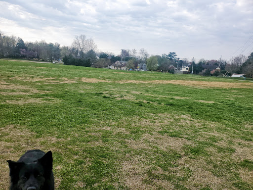 Stadium «Navy-Marine Corps Memorial Stadium», reviews and photos, 550 Taylor Ave, Annapolis, MD 21401, USA