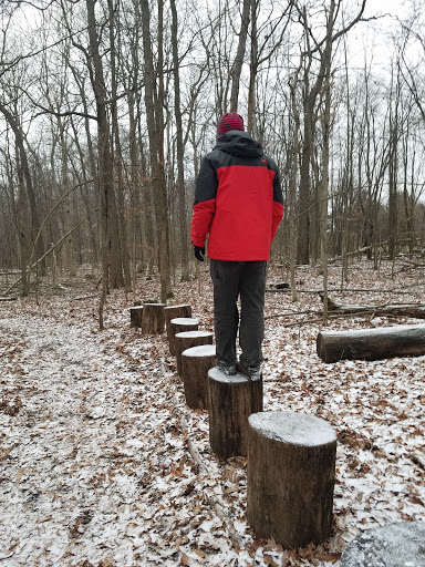 Nature Preserve «Scio Woods Preserve», reviews and photos, Scio Church Rd, Ann Arbor, MI 48103, USA