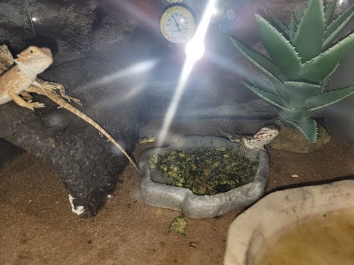 Pet Supply Store «Petco Animal Supplies», reviews and photos, 92 Cluff Crossing Rd, Salem, NH 03079, USA